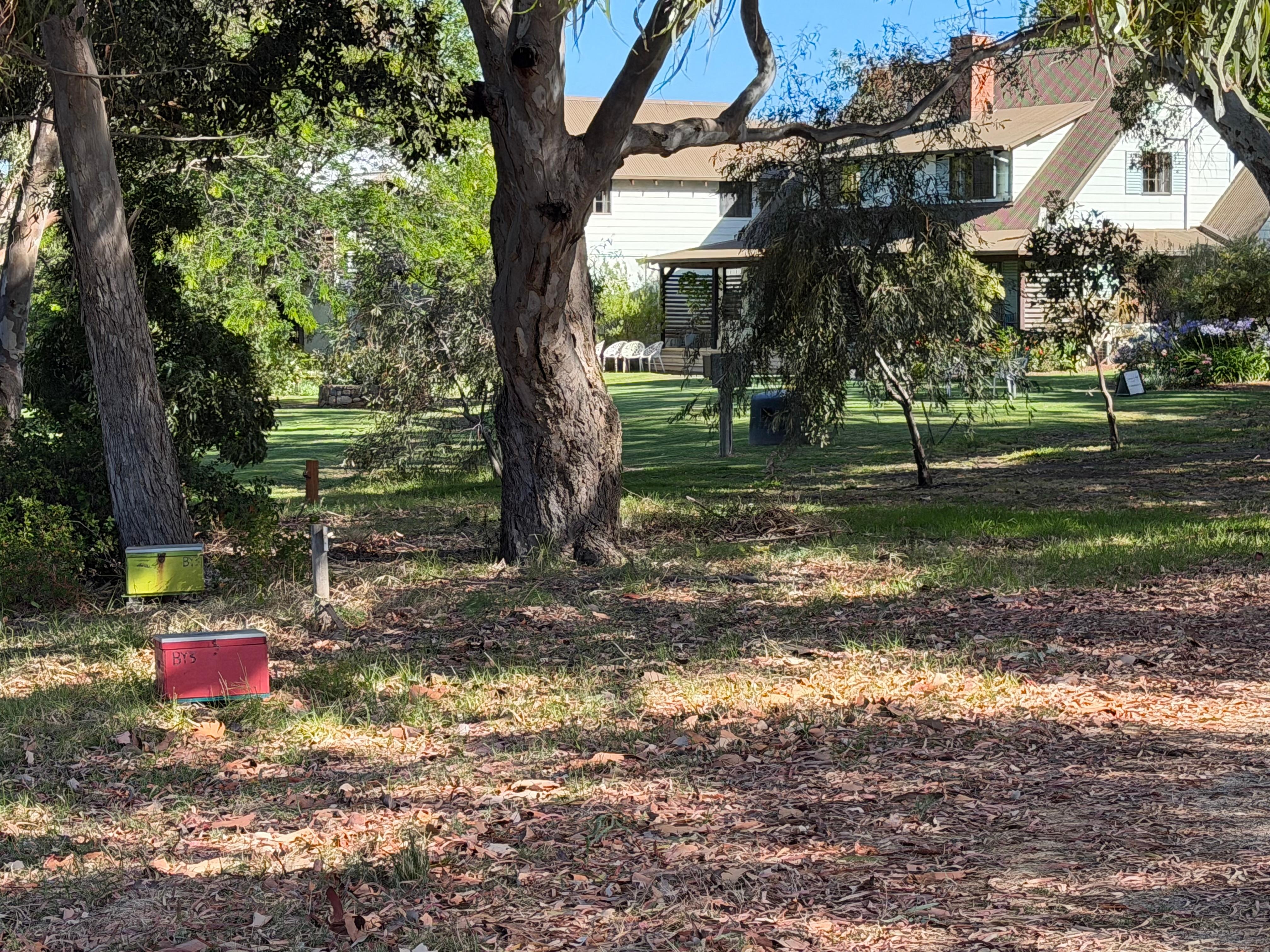Garden surrounding the property.