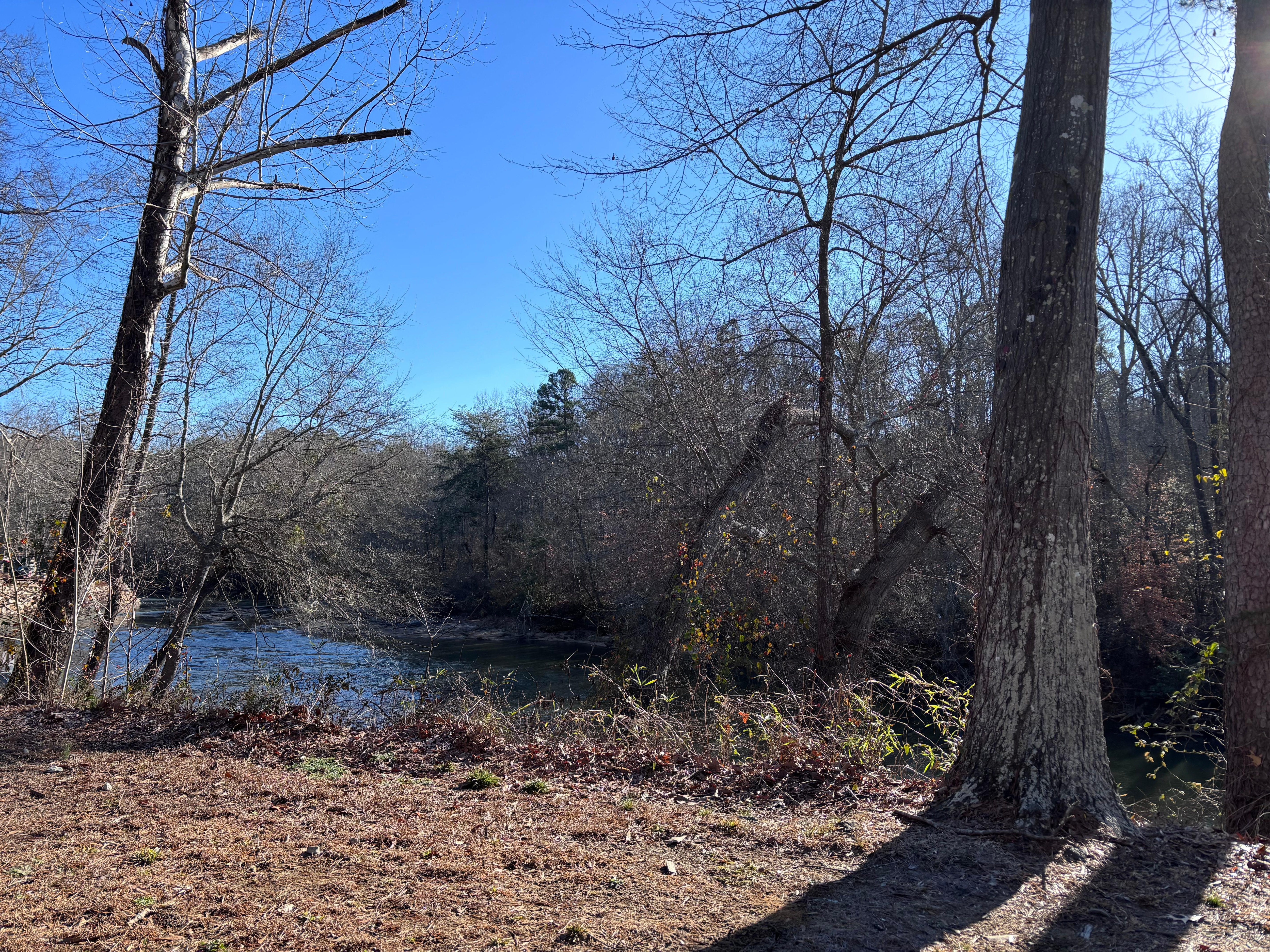 Lake view from the swing