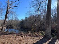Lake view from the swing