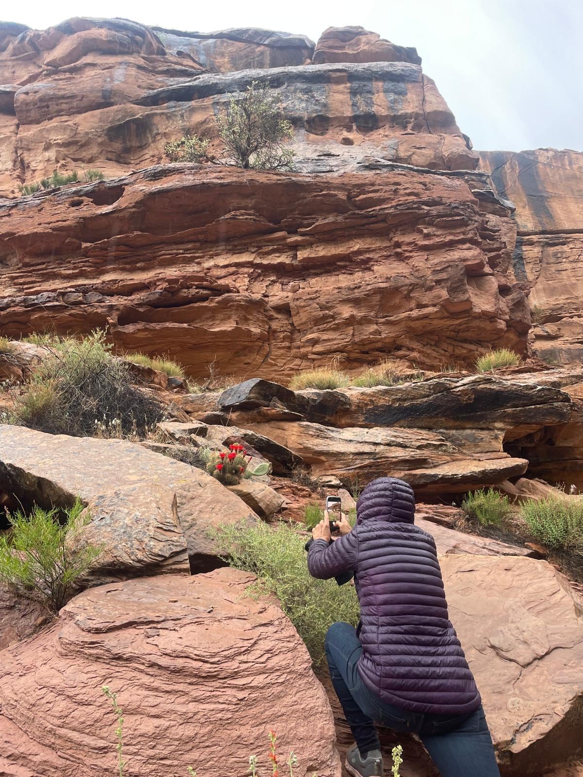 Grand Staff trail, full of wildflowers at this time of year.