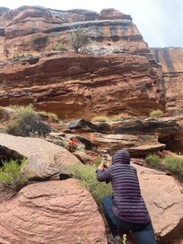 Grand Staff trail, full of wildflowers at this time of year.