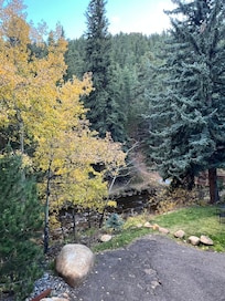 View from the deck