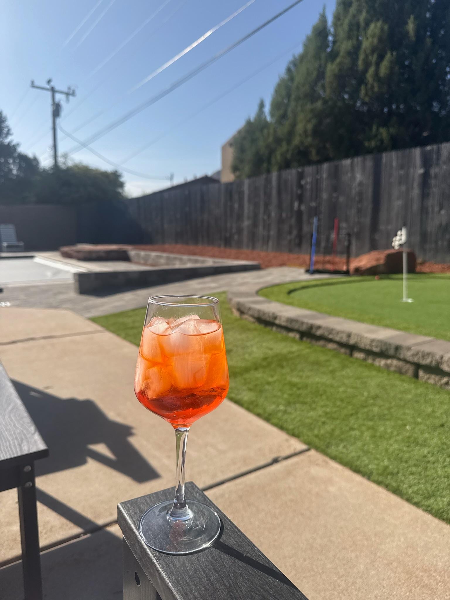 Lounging in the back yard!