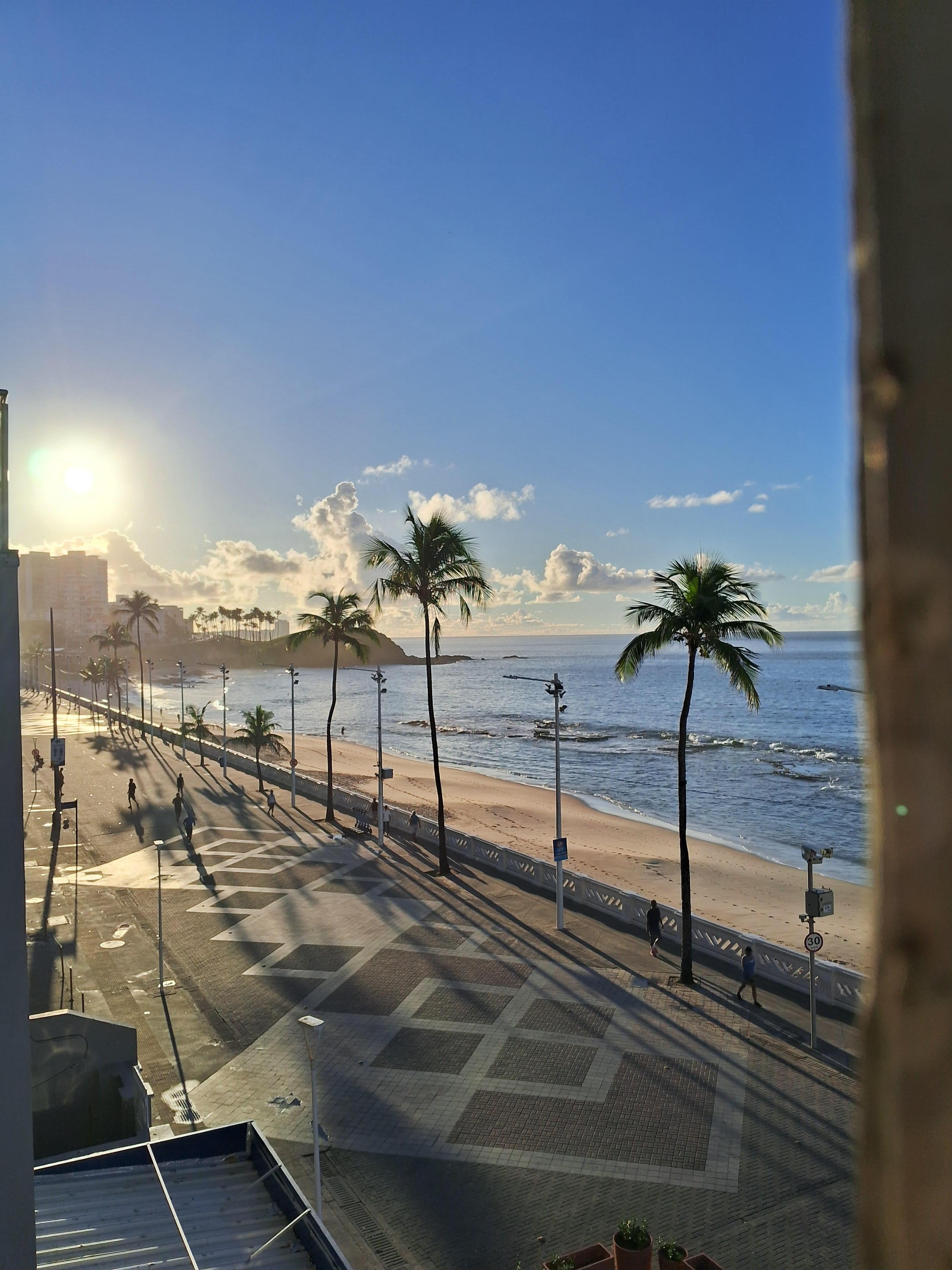 Minha vista pela manhã 