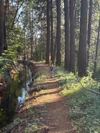 Trail walk behind the cabin was a hit!