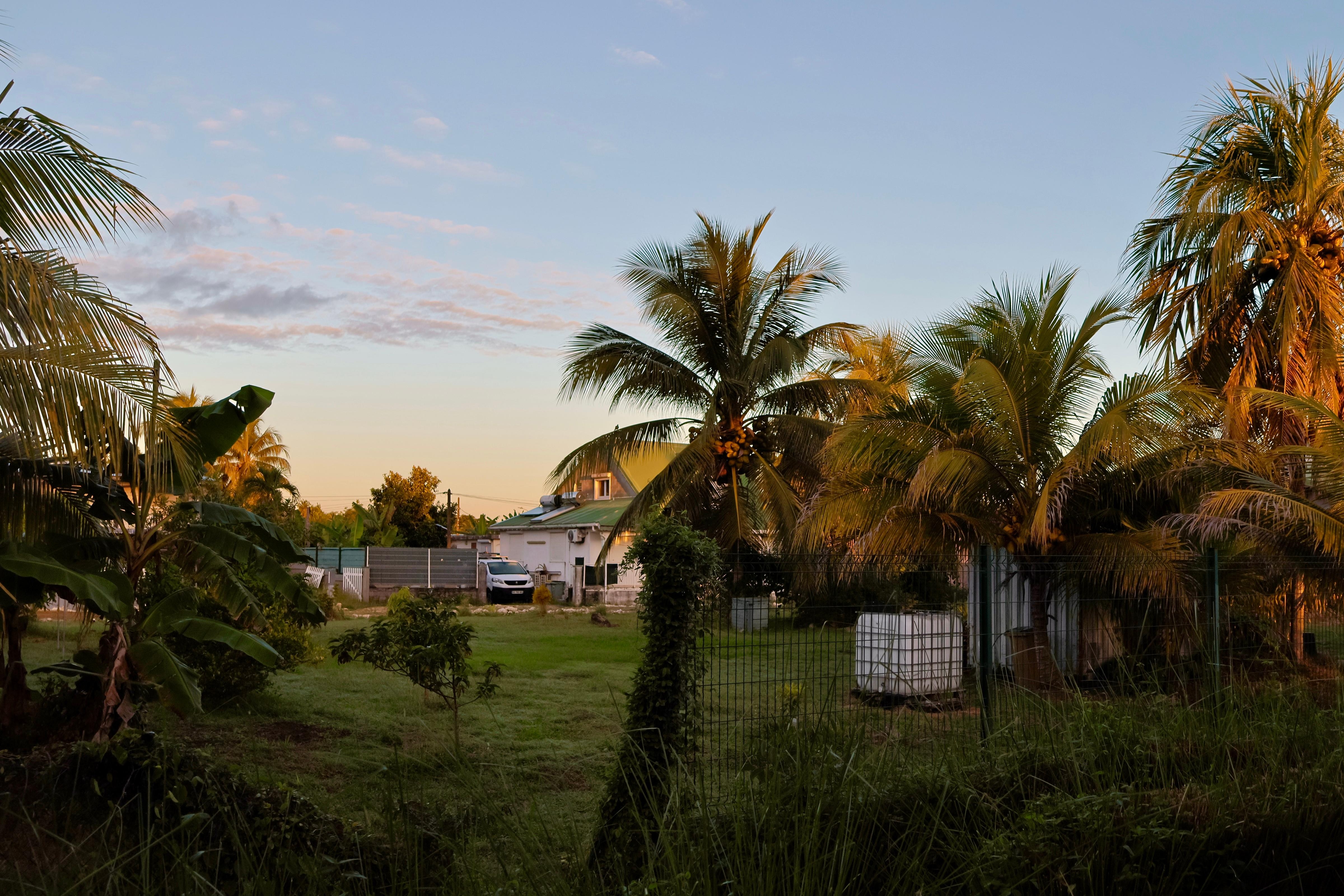 Vue depuis la terrasse