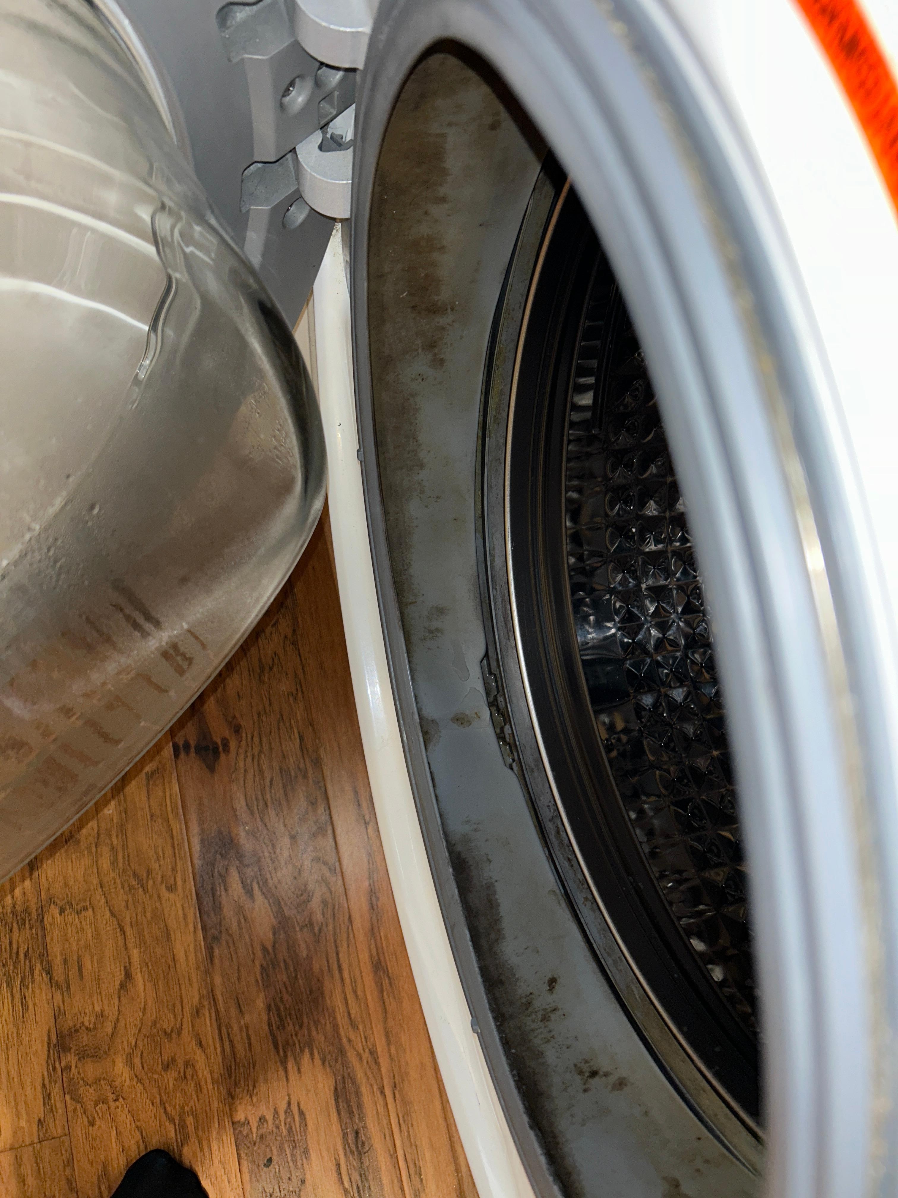 Moldy washing machine 