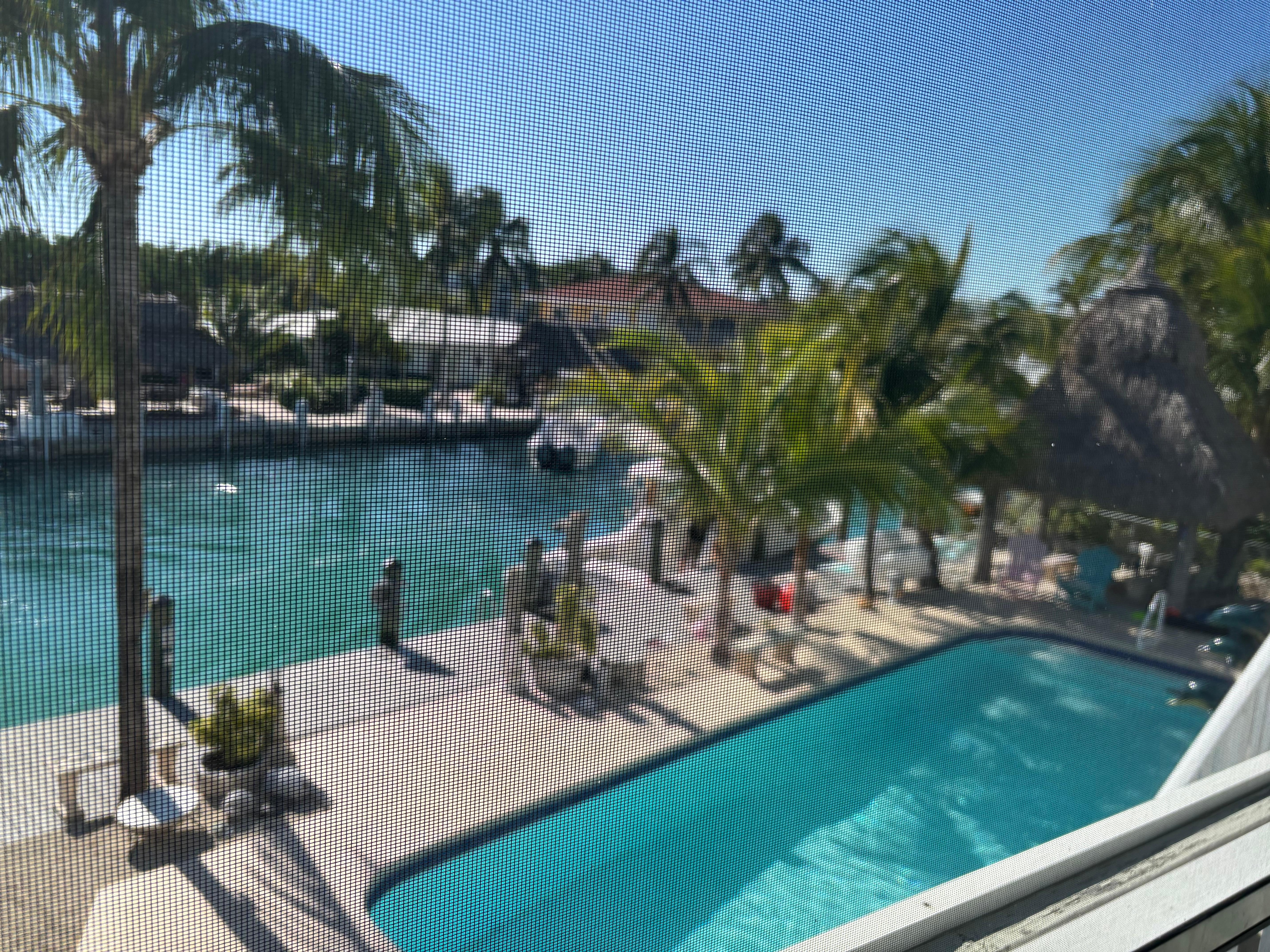 Pool and canal from back porch 