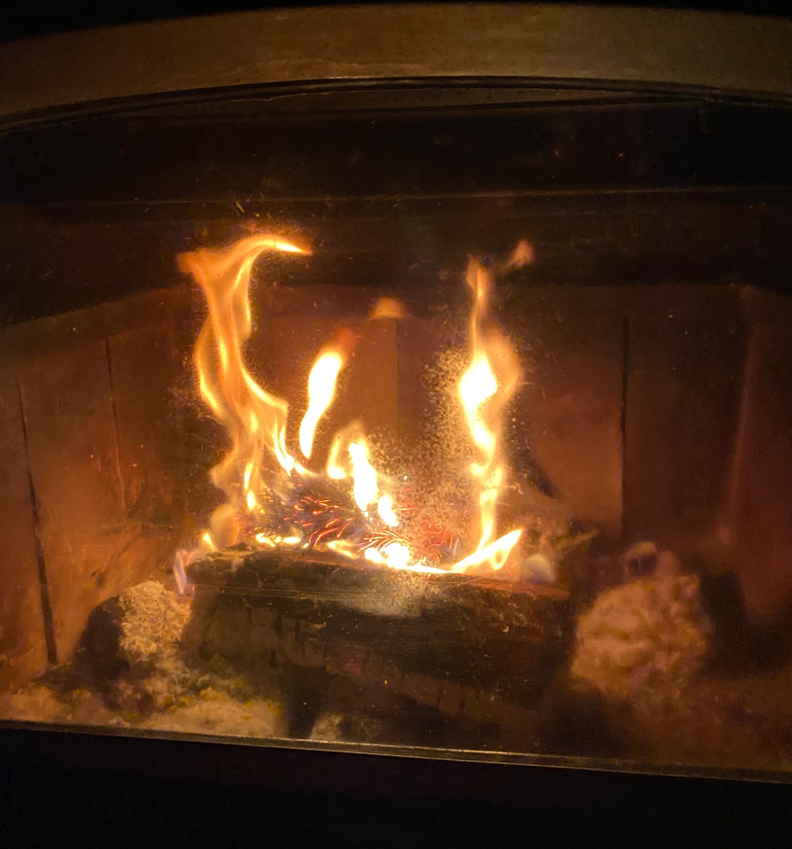 Beautiful cast iron wood-burning stove