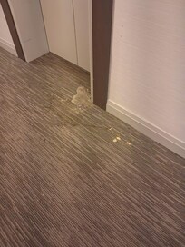 Vomit by lift doors on the floor we were in