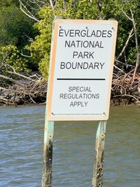 Dolphin tour out of Everglades City