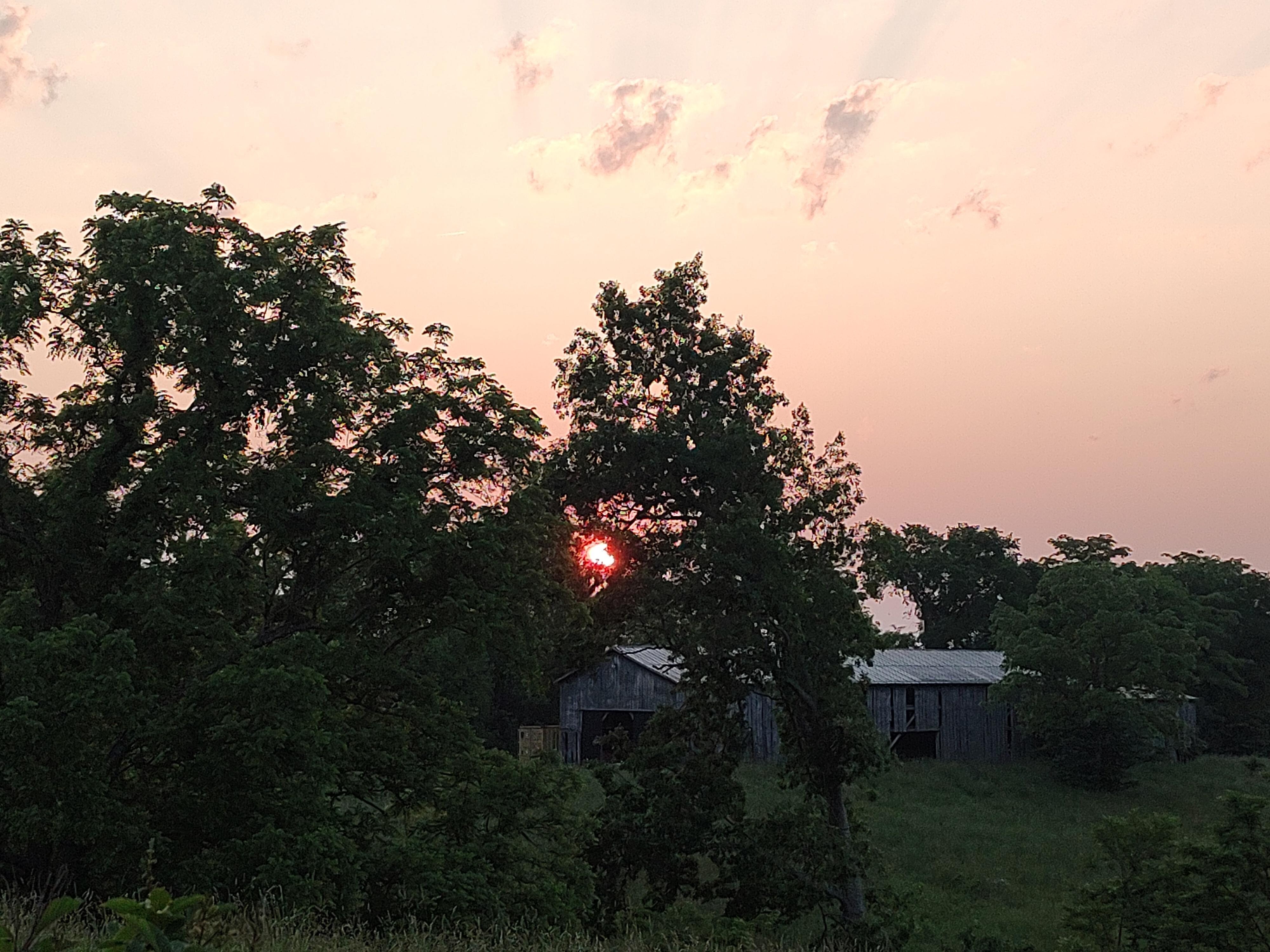 Sunrise
