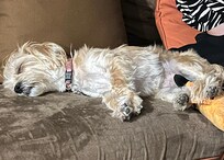 Tired after a day full of activities