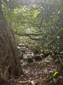 Clean river behind the vrbo