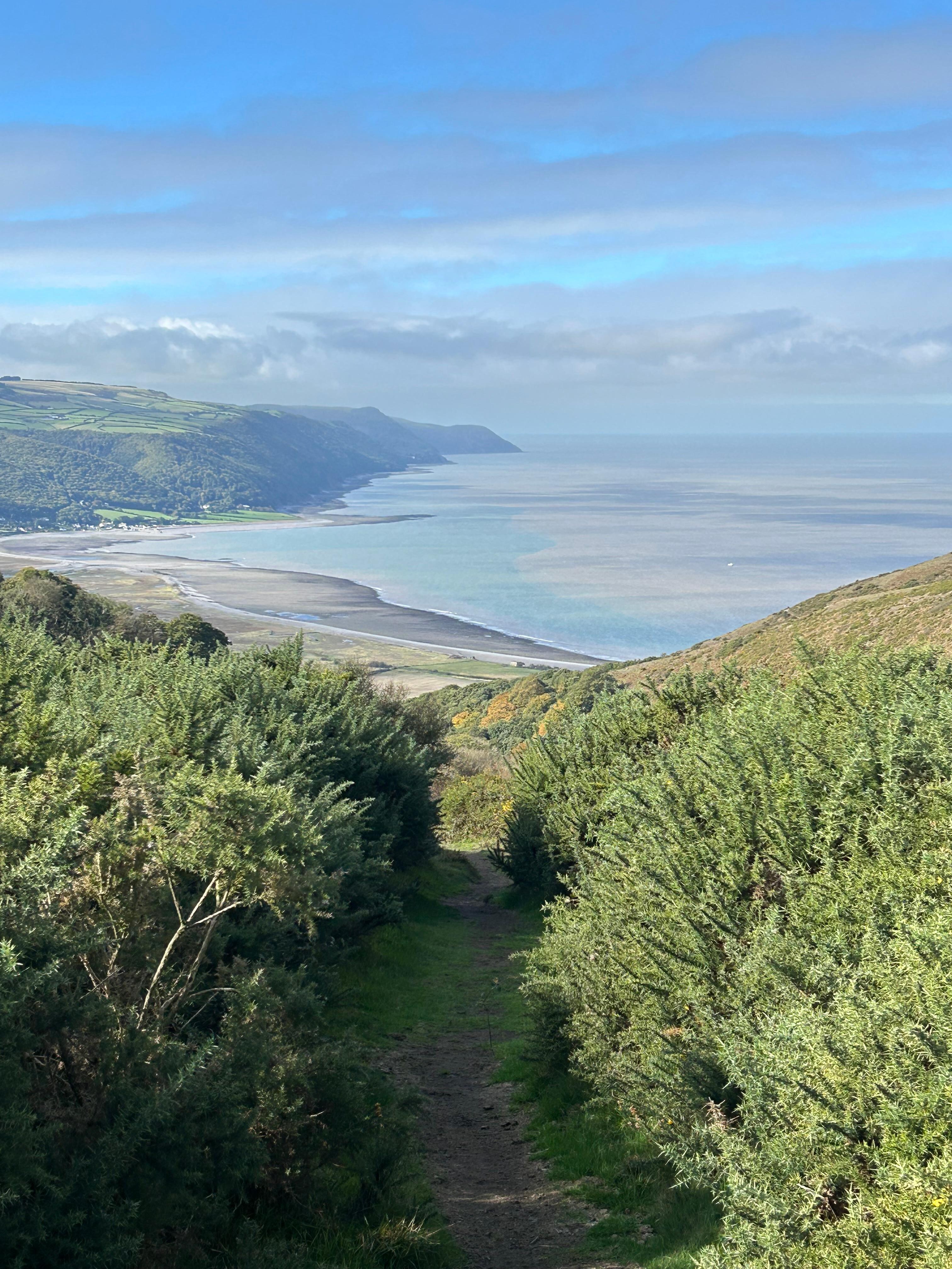 View from the local hills