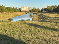 Small pond out back near covered grill area.
