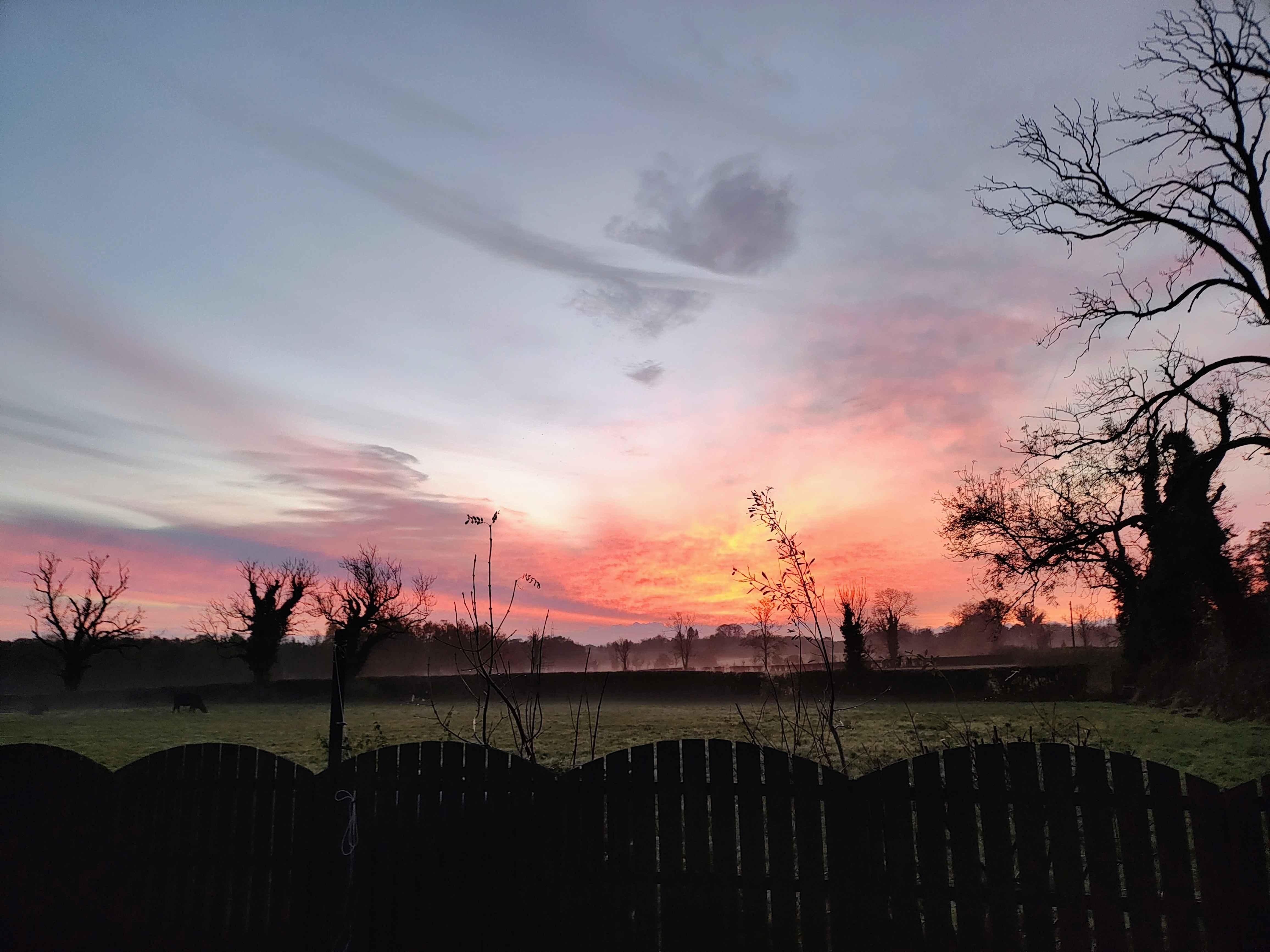 Photo taken out the back door of the cottage in the early twilight of the morning.
