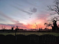 Photo taken out the back door of the cottage in the early twilight of the morning.