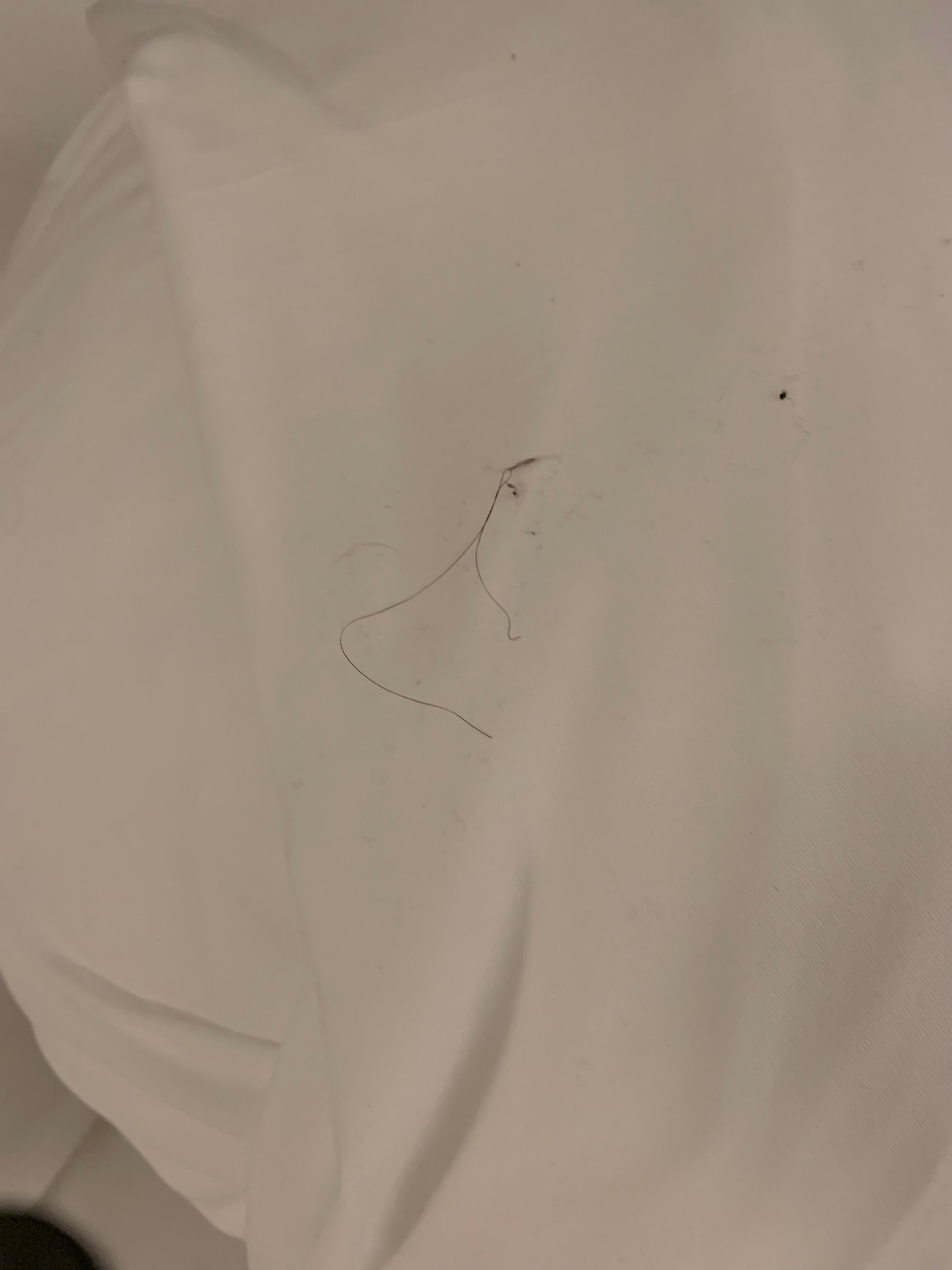 Poils cheveux poussières sur les oreillers et draps et taches dans les draps