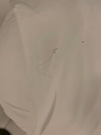 Poils cheveux poussières sur les oreillers et draps et taches dans les draps