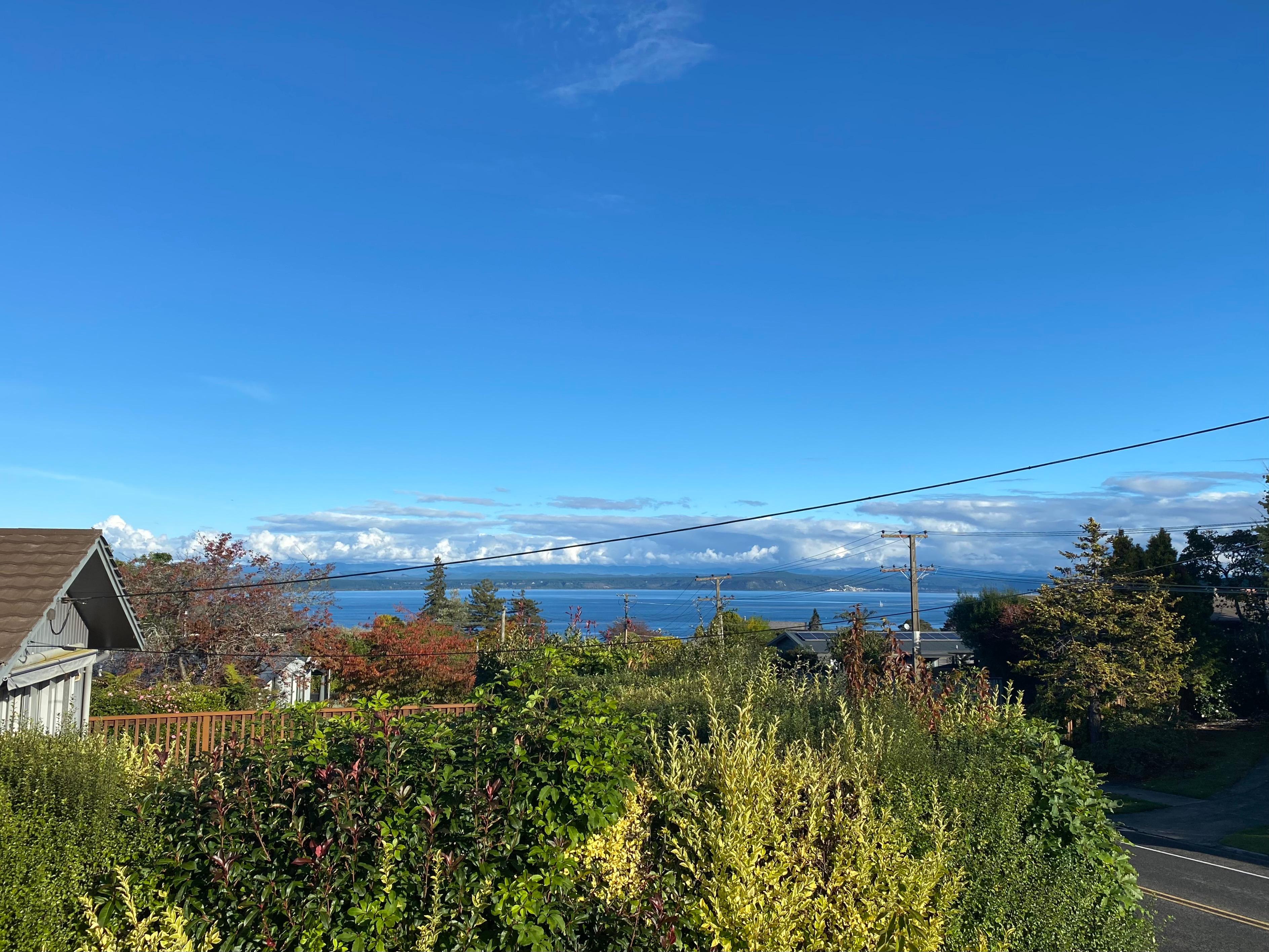 The view from the house
