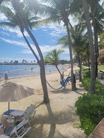 Beach and hammocks