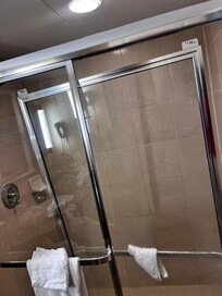 Showers door