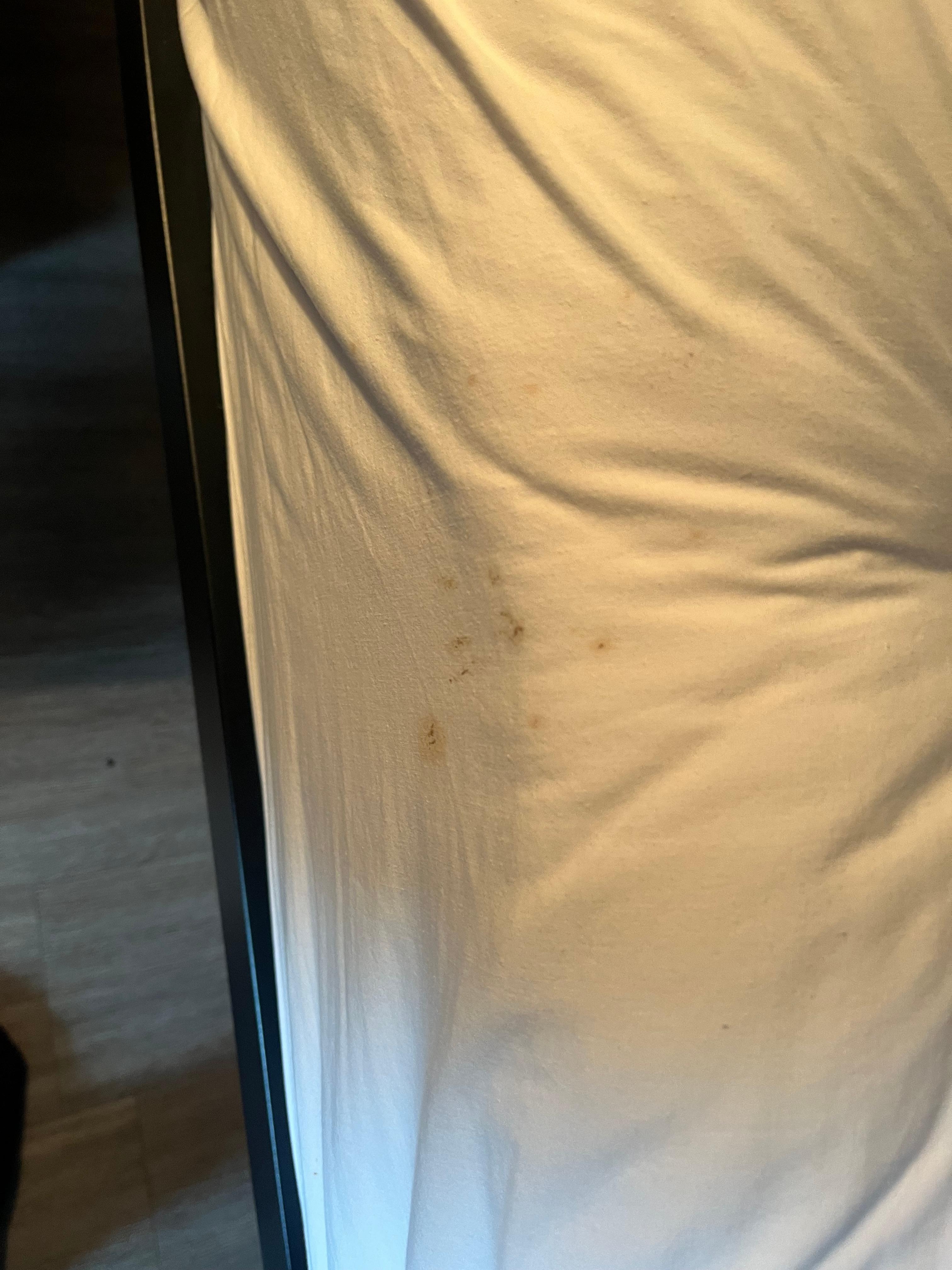 Bed sheets had brown stains