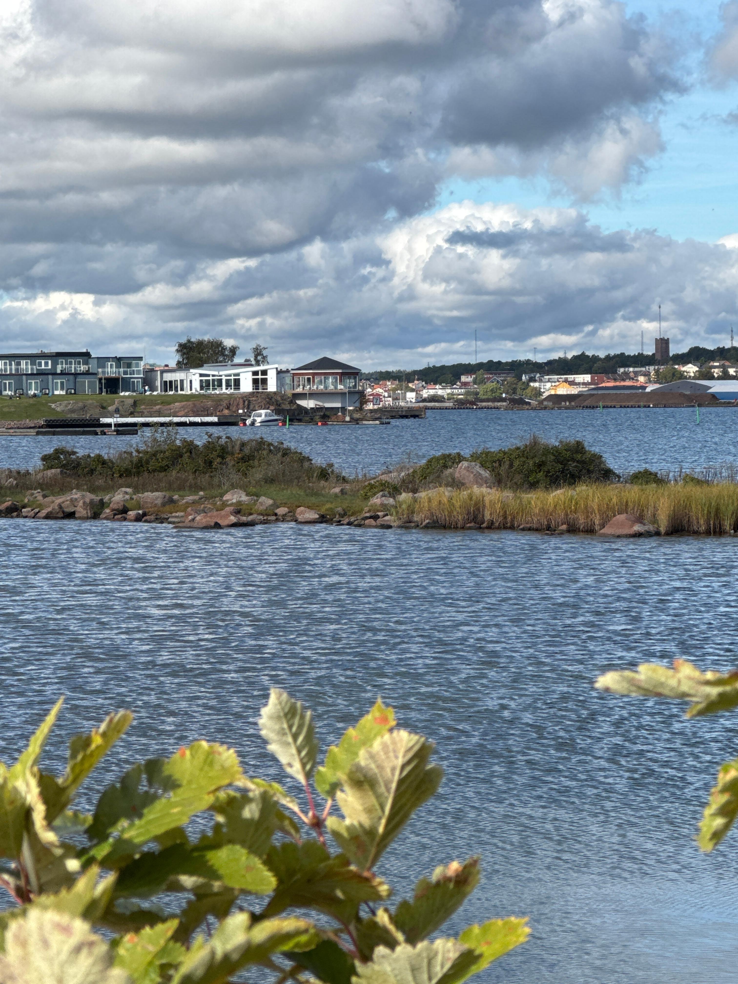 Morgentur på moloen👍