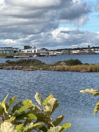 Morgentur på moloen👍