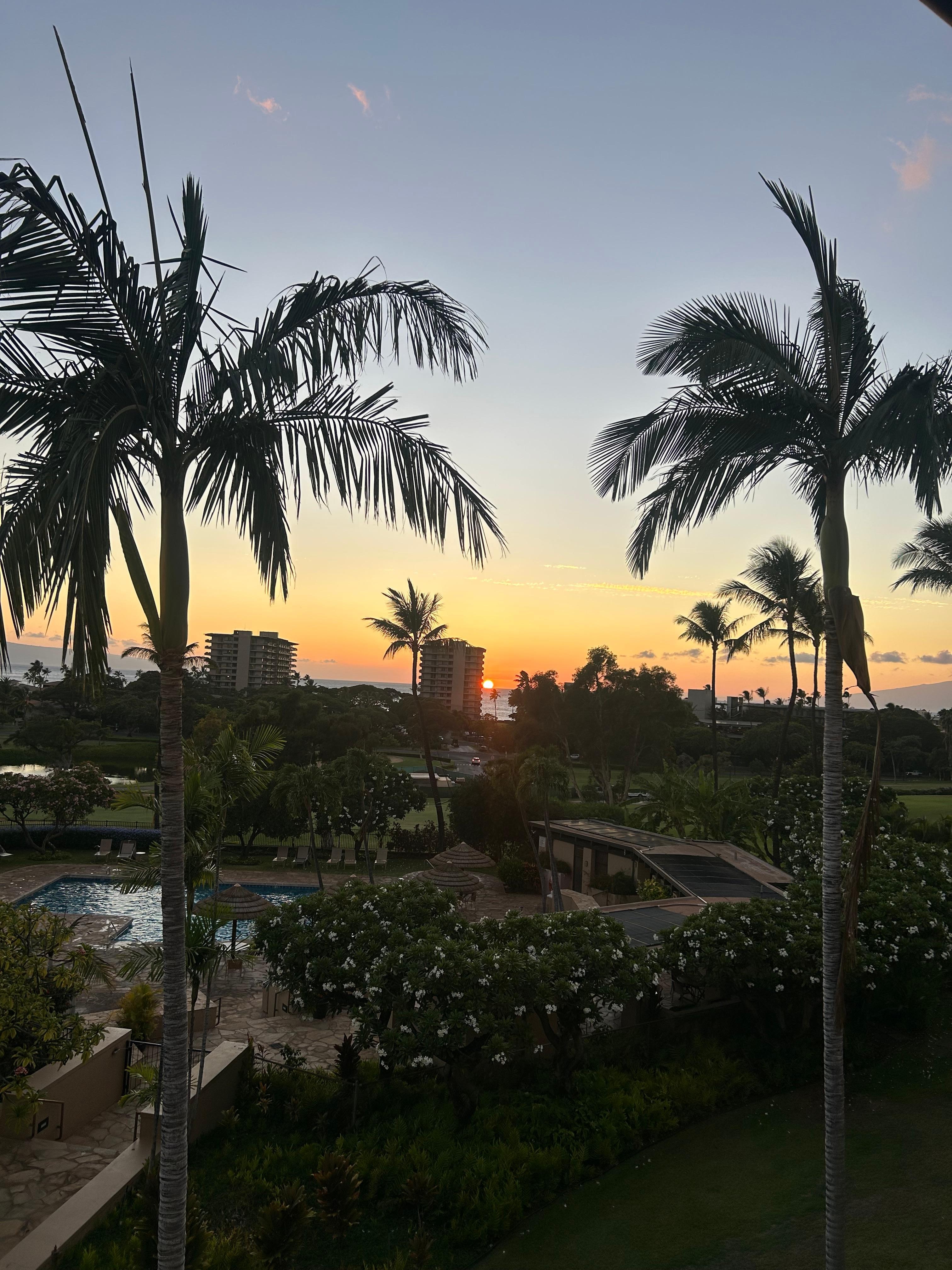 Beautiful view from the lanai. 