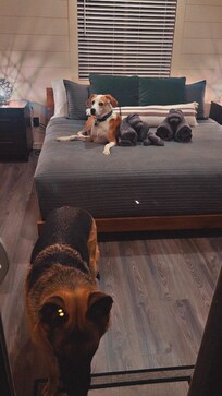 The moment Timber locked us out and I didn’t know haha