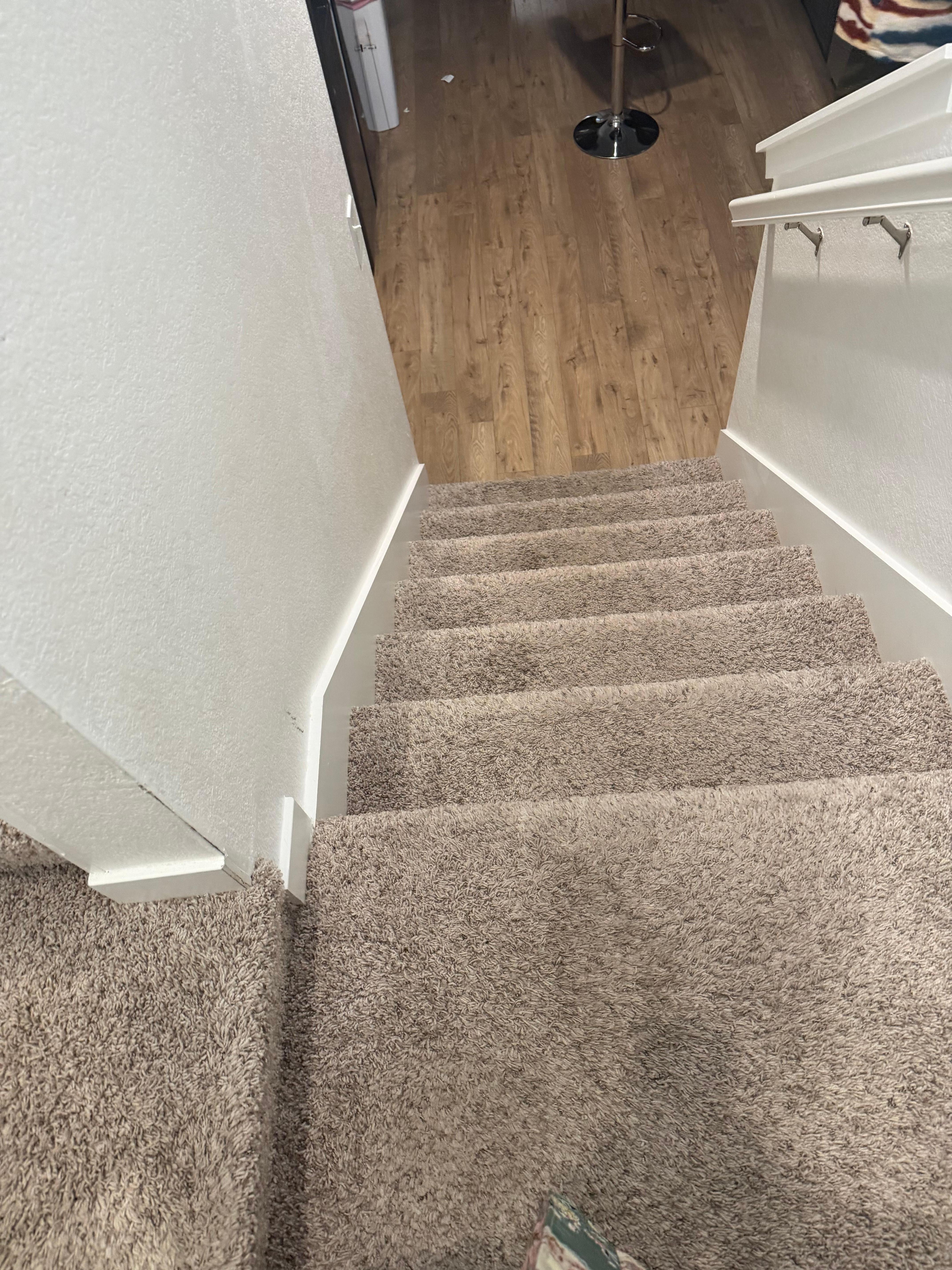 Gross staining on the carpet throughout 