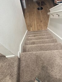 Gross staining on the carpet throughout
