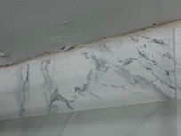 Peeling paint & possible mold in the shower