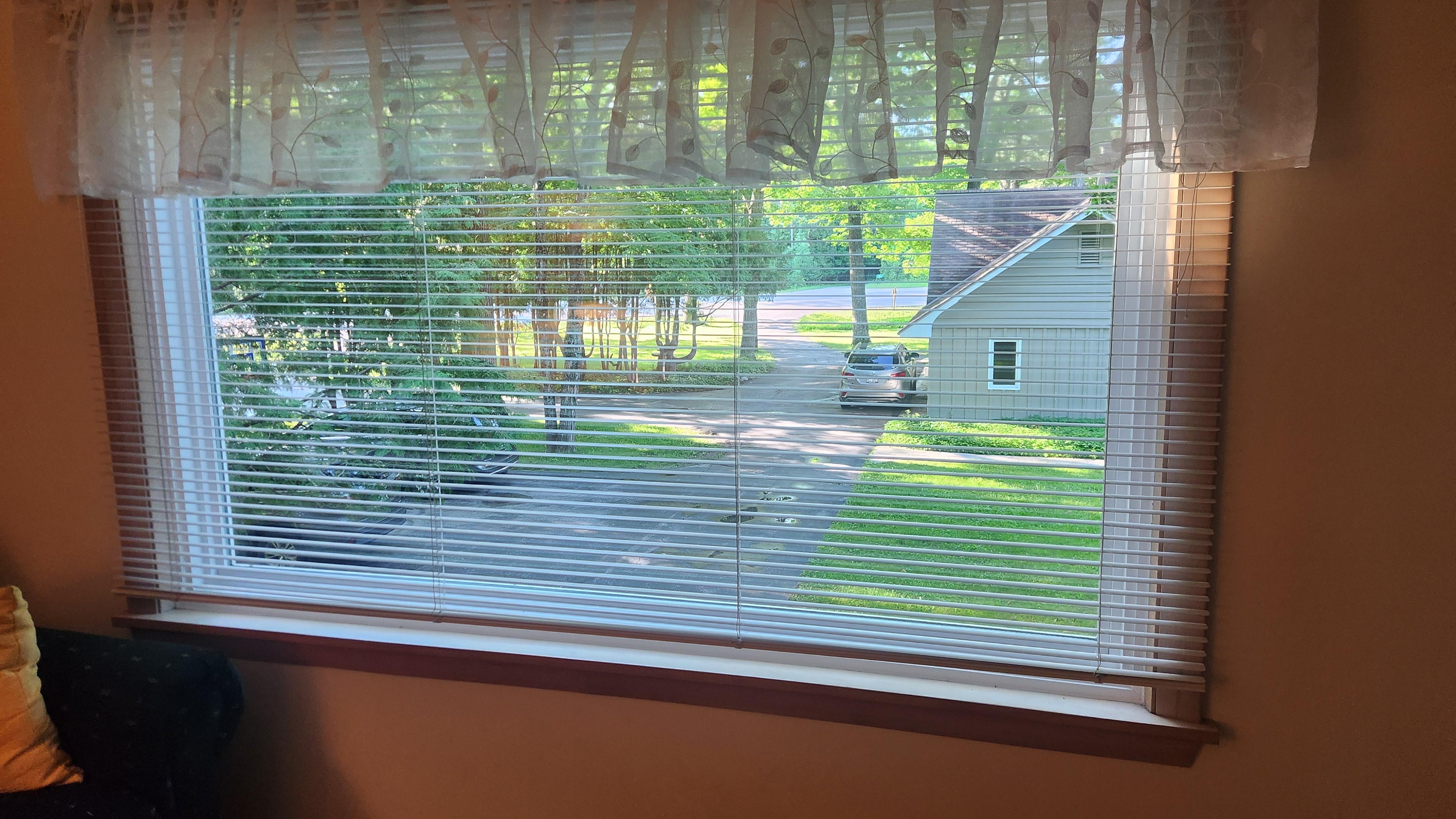 View from the living room.