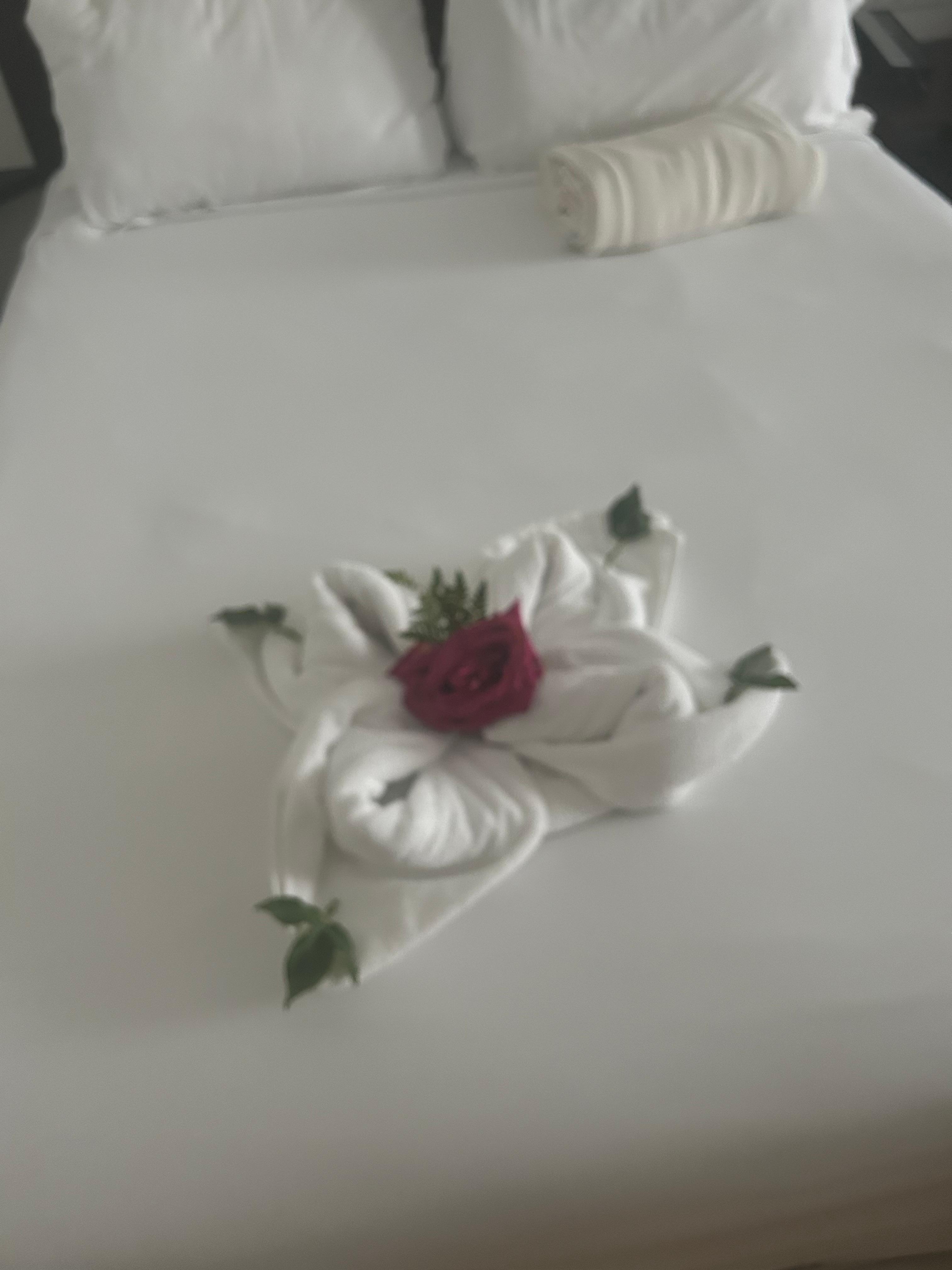 House keeping was great 