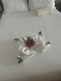 House keeping was great