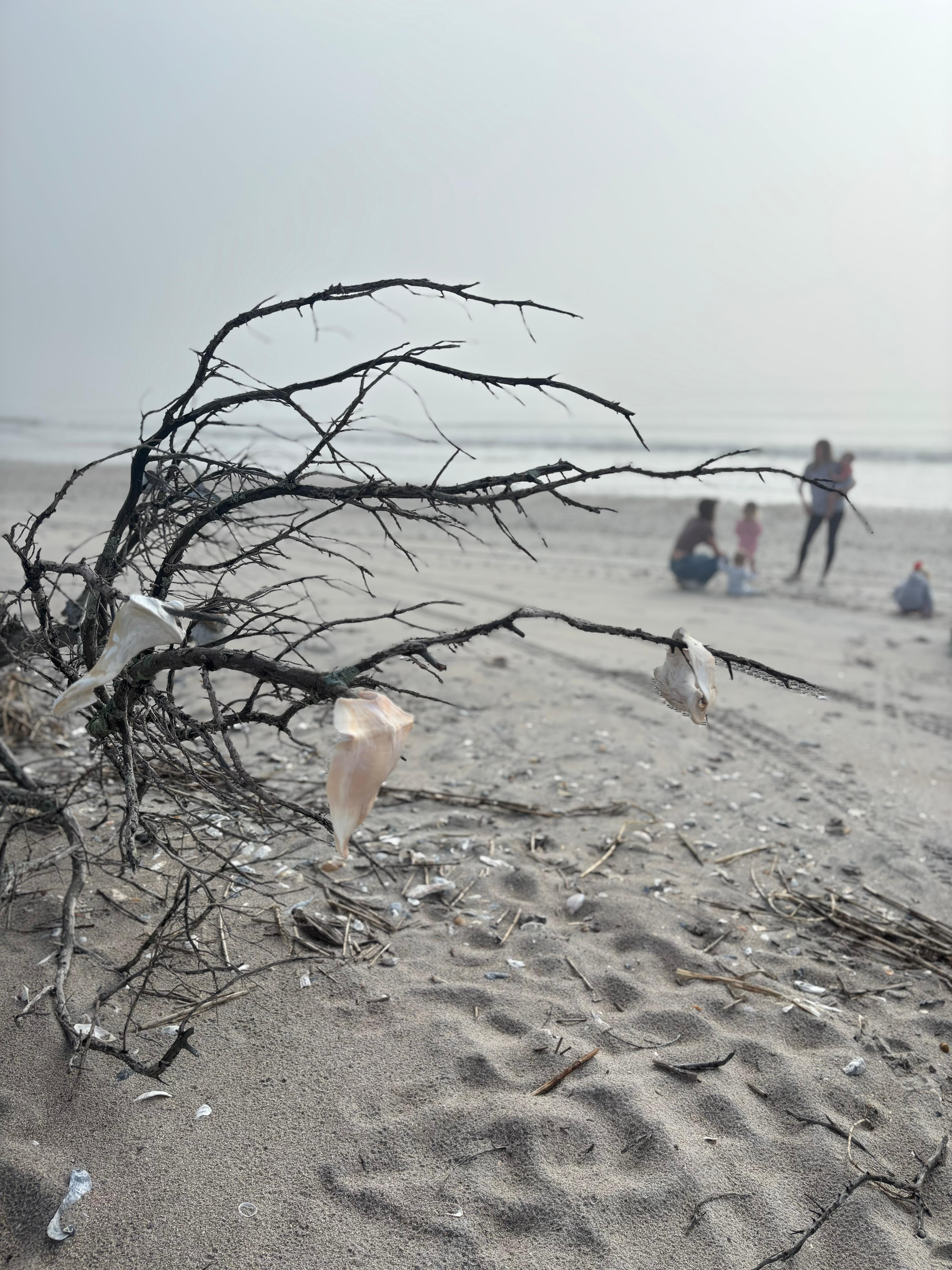 Private kid friendly beaches!