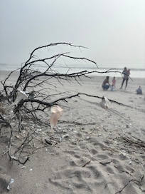 Private kid friendly beaches!