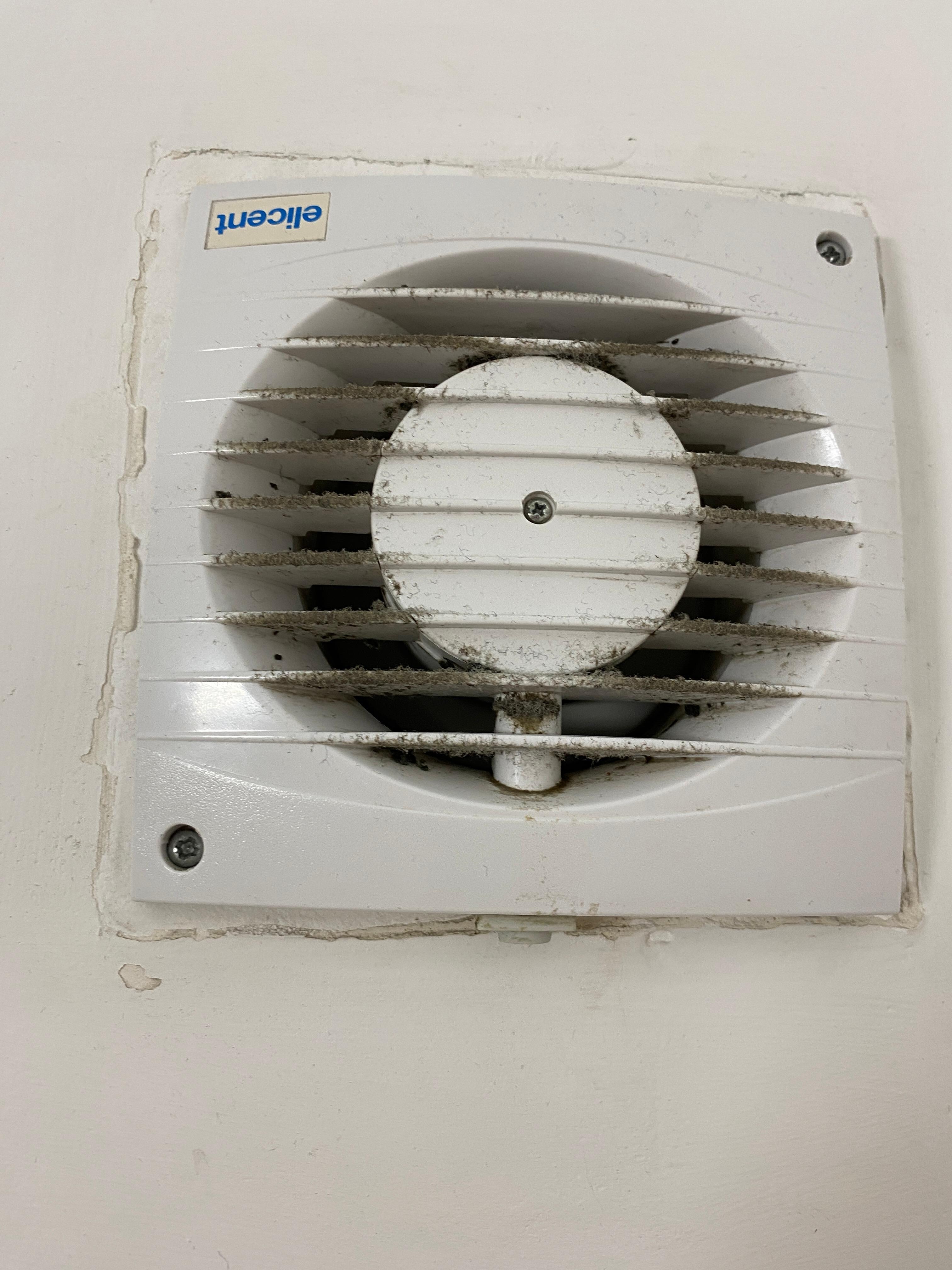 Fan in bathroom was moldy