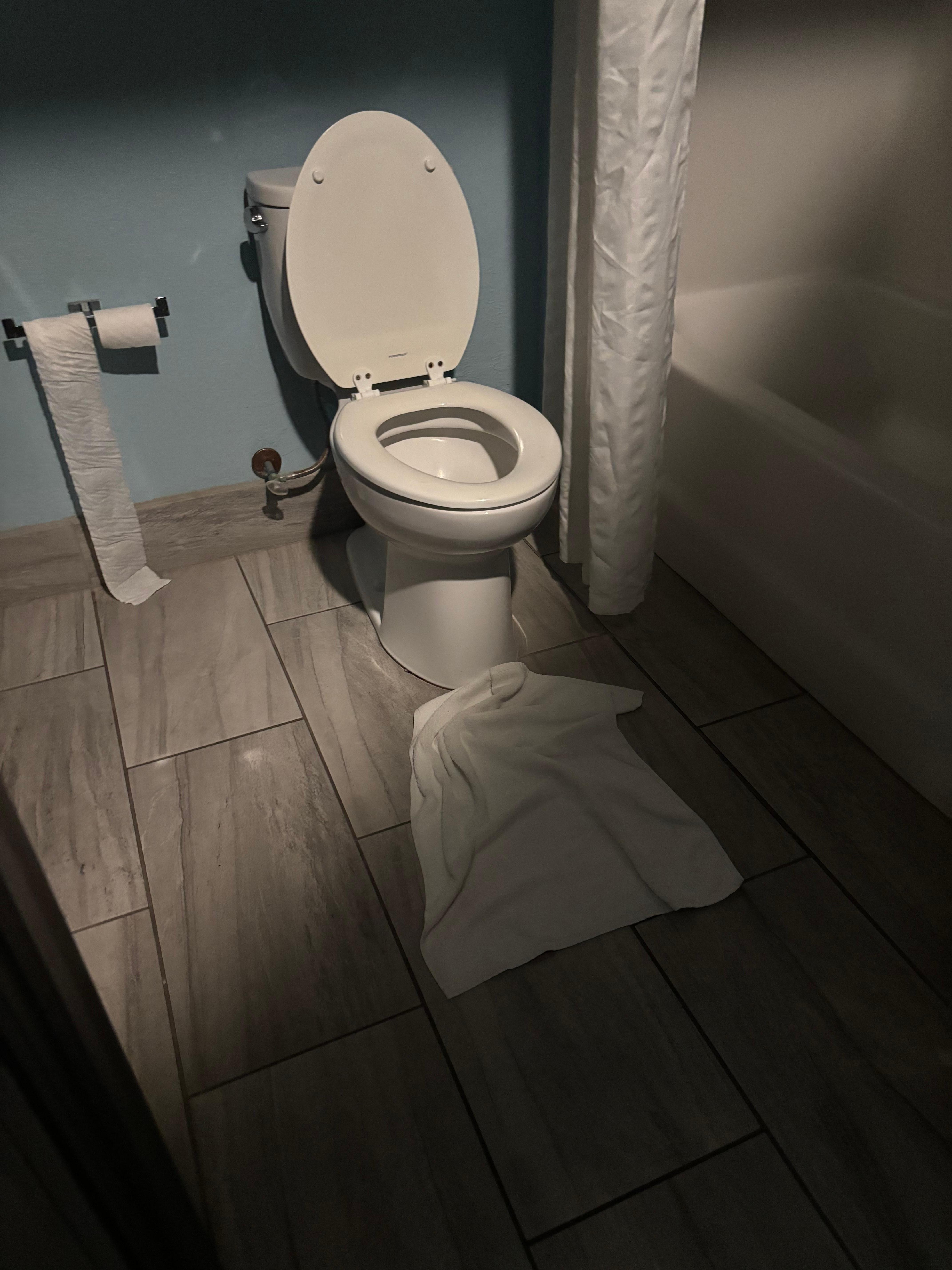 Toilet paper used and towels on the floor