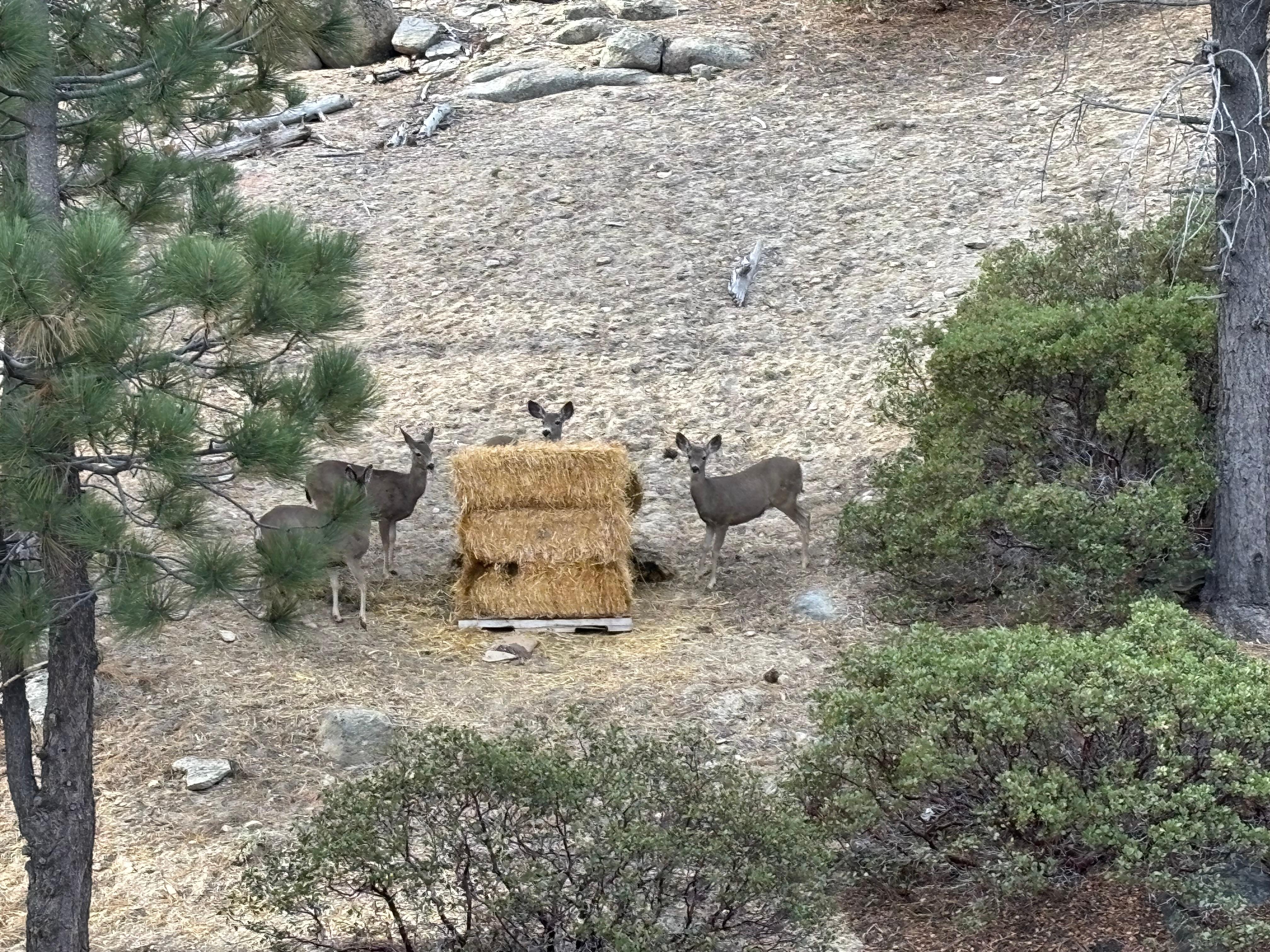 Right outside the bedroom balcony 