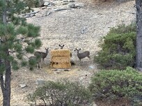Right outside the bedroom balcony