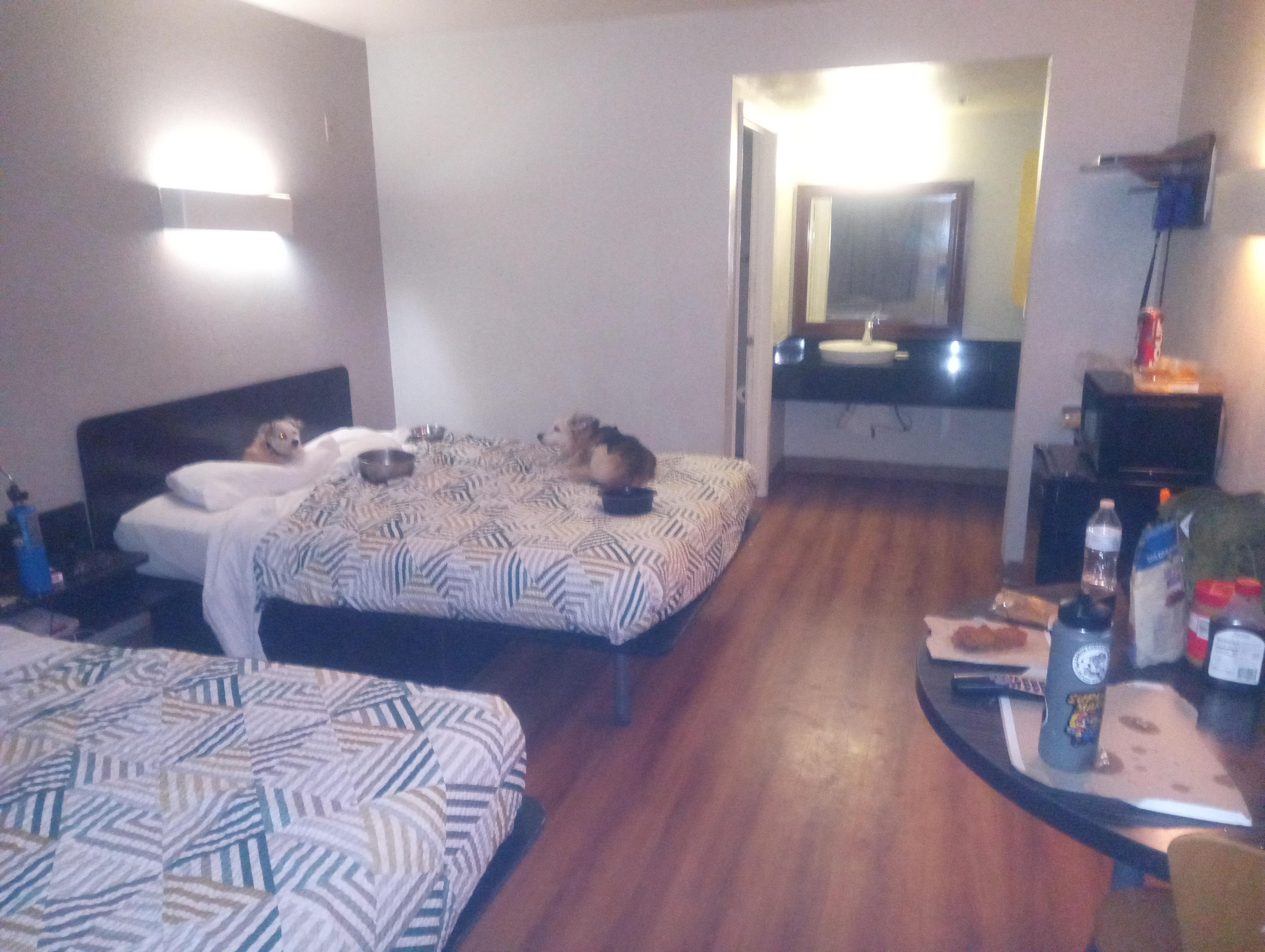 Wonderful, nice spacious 