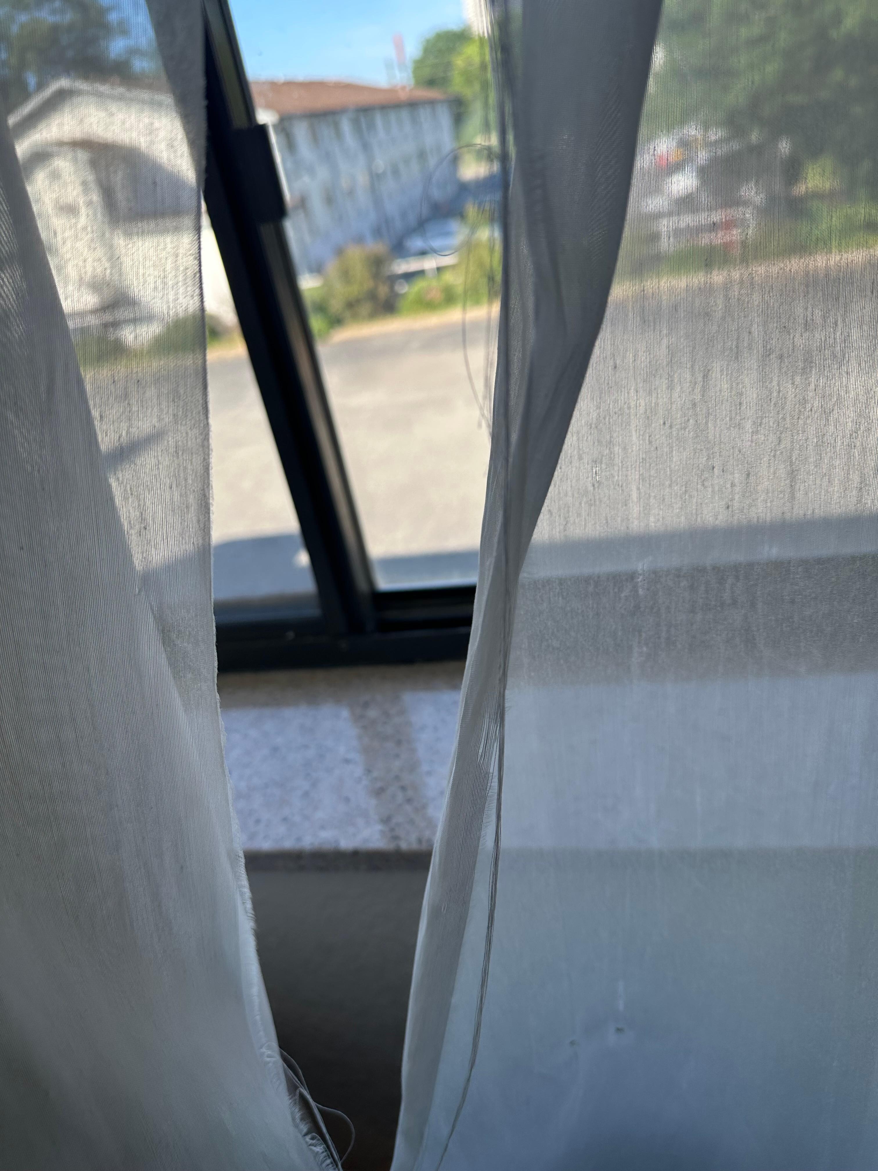 torn curtain sheers