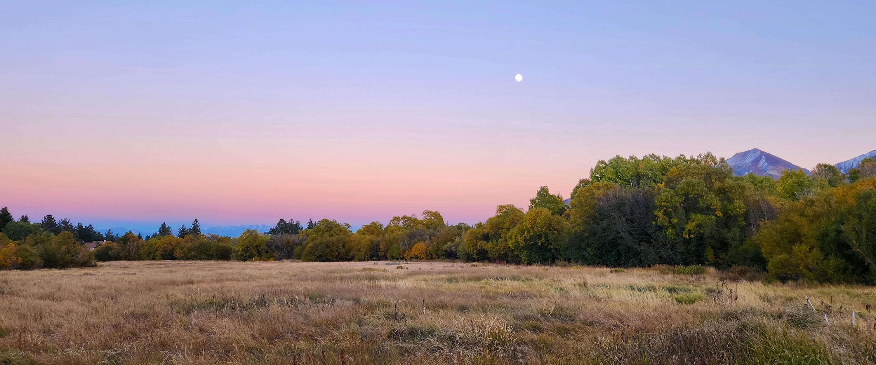 Moonrise over Mammoth Creek meadow