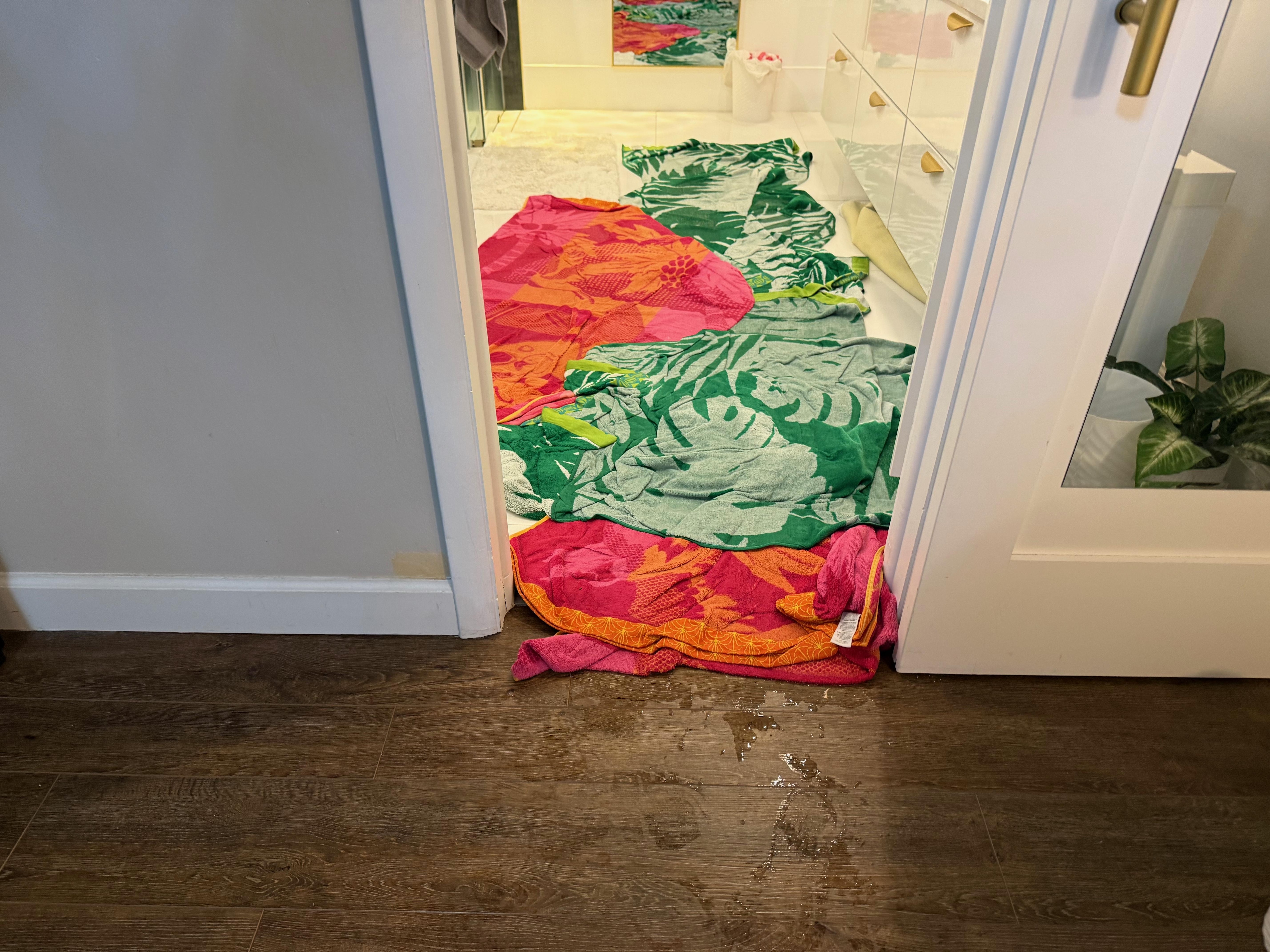 Flooded master bathroom that we had to use a lot of towels on so water didn't get into the master bedroom