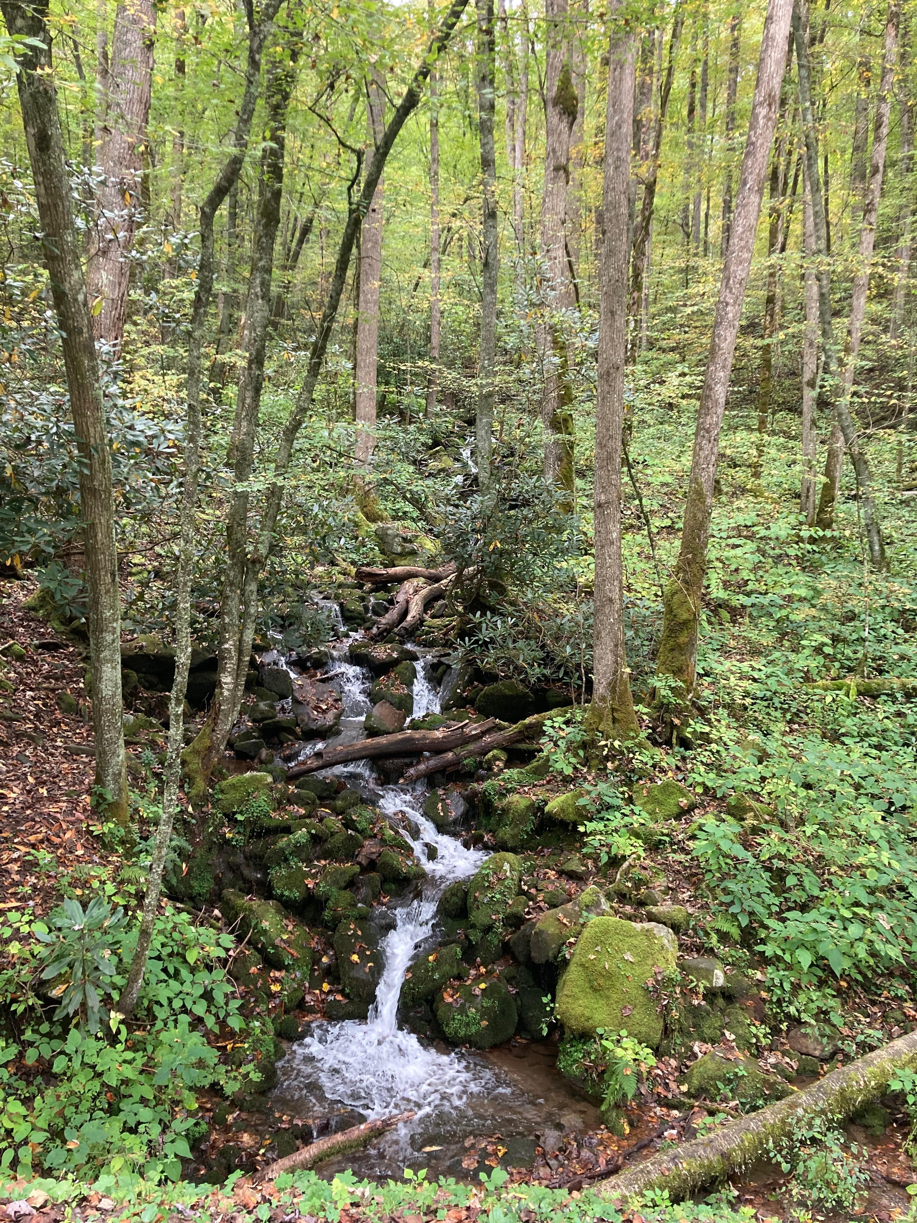 Beautiful views nearby. 