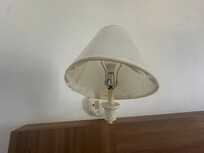 Mold on the lamps